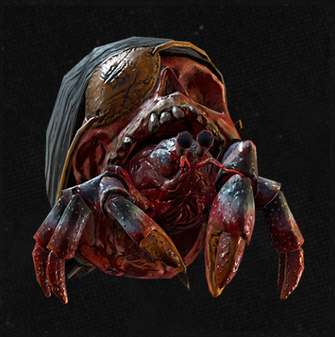 Image of Redbeard in codex search.