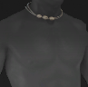 Image of Renegade Necklace in codex search.