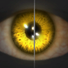 Image of Revenant's Eyes in codex search.