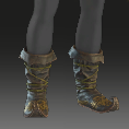 Image of Shadowlord's Shoes in codex search.