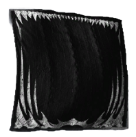 Image of Shear the Waves in codex search.