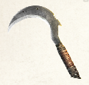 Image of item sickle5 for general information in codex.