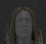 Image of item straightLongHair for general information in codex.