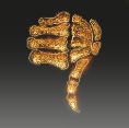 Image of Thumbs Down in codex search.