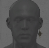 Image of Vikram's Earring in codex search.