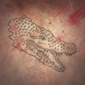 Image of Black Mamba in codex search.