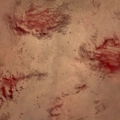 Image of Cursed Outsider in codex search.