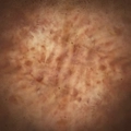 Image of Embermarked in codex search.