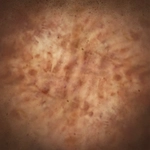 Embermarked icon