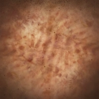 Embermarked icon