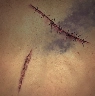 Field Sutures icon