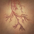 Image of Lightning-touched in codex search.