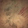 Rough and Rowdy icon