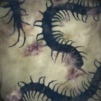 Scurry and Skitter icon