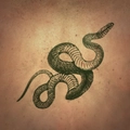 Image of Shadow of Scylla in codex search.