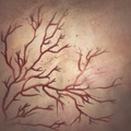 Image of Spell of the Damned in codex search.