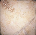 Image of Survivor's Marks in codex search.