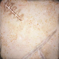 Survivor's Marks icon