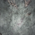 Image of The Drowned Creed in codex search.