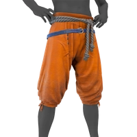Admiral Leggings icon