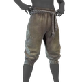 Image of Airy Trousers in codex search.