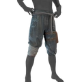 Image of Breeches of Betrayal in codex search.