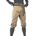 Image of Chantilly Breeches in codex search.