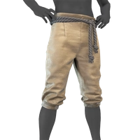 Chantilly Breeches icon