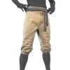 Chantilly Breeches icon