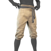 Chantilly Breeches icon