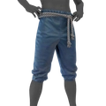 Image of DMC Breeches Blue in codex search.