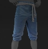 DMC Breeches Blue icon