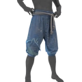 Image of Dreaded Trousers in codex search.