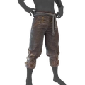 Image of Extra Large Pants in codex search.