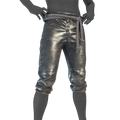 Image of Fabled Pants in codex search.
