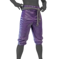 Image of Flamboyant Leggings in codex search.