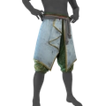 Image of Indian Silk Pants in codex search.