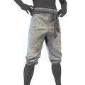 Image of Leathery Ashen Pants in codex search.