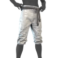 Image of Moonlight Breeches in codex search.