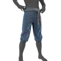 Image of Nightwind Trousers in codex search.