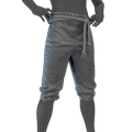 Image of Officer Breeches Gray in codex search.