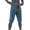 Image of Pants of Tumult in codex search.