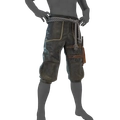 Image of Pilfered Pants in codex search.
