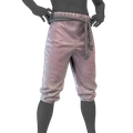 Image of Pinky's Pants in codex search.