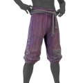Image of Pinstripe Trousers in codex search.