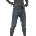 Image of Prospero's Pants in codex search.