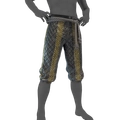 Image of Quilted Strides in codex search.