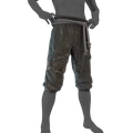 Image of Rogue's Breeches in codex search.