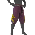 Image of Shifter's Pants in codex search.