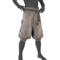 Image of Pantalones de verano in codex search.